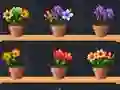 Játék Good Flower Master online