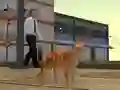 Játék Cat City Simulator online