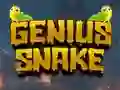 Játék Genius Snake online