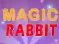 Játék Magic Rabbit online
