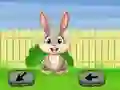 Játék Springtime Escape online