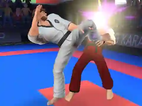 Játék Karate Fighter online