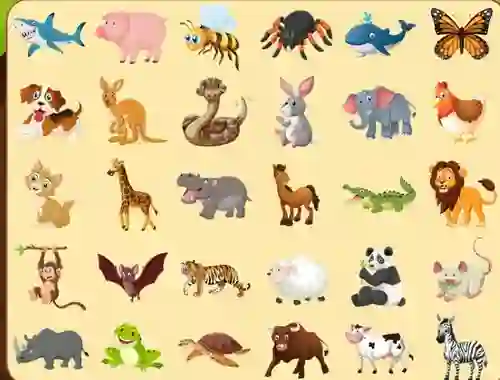 Játék Discover Animals online
