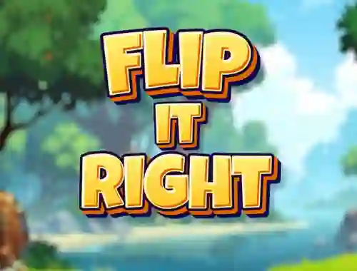 Játék Flip It Right online