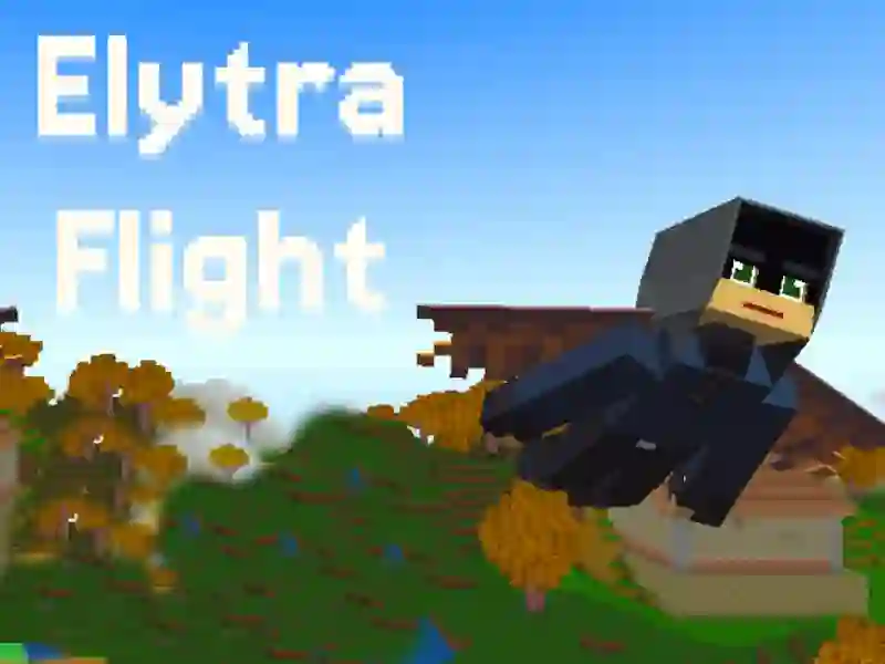 Játék Elytra Flight online