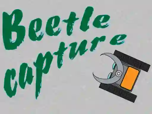 Játék Beetle Capture online