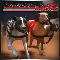 Játék Greyhound Racing online