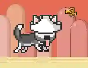 Játék Mr Jump Husky online