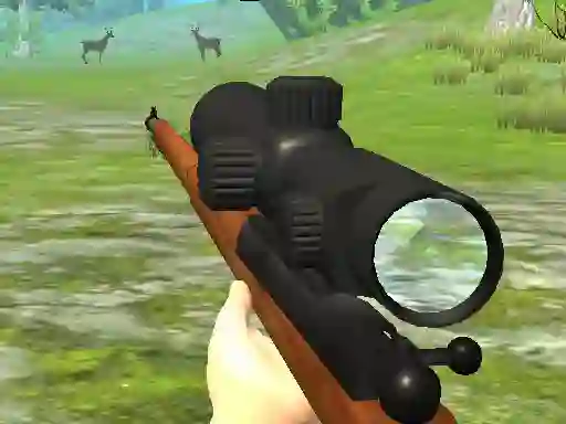 Játék Hunter 3D online