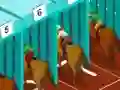 Játék Derby racing online