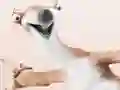 Játék Ice Age 4: Coloring online