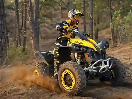 Játék ATV Offroad Puzzle online