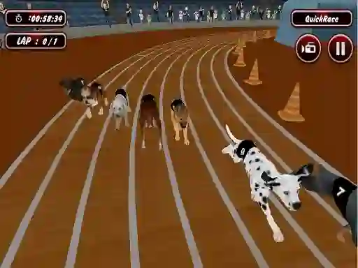 Játék Crazyl Dog Racing Fever online