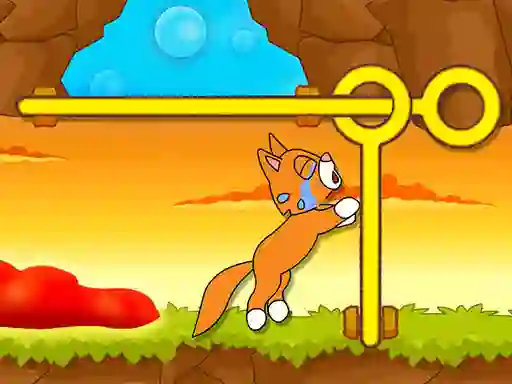Játék Save The Kitten online