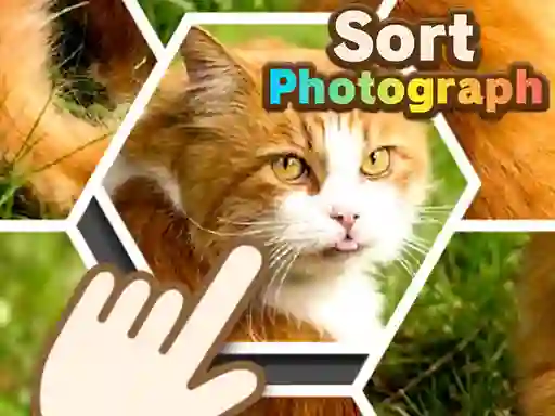 Játék Sort Photograph online