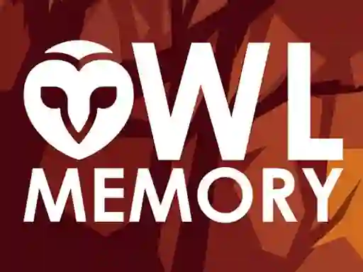 Játék Owl Memory online