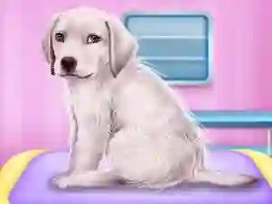 Játék Labrador at the doctor salon online