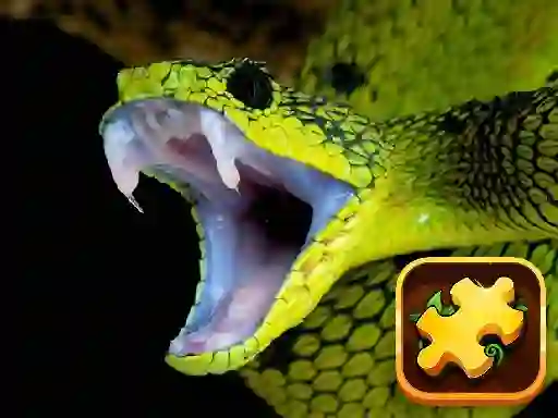 Játék Snake Puzzle Challenge online