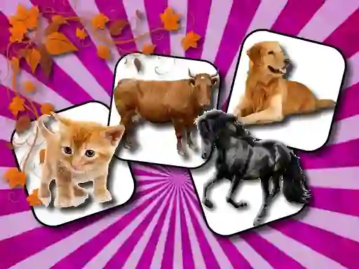 Játék Domestic Animal Memory Challenge online