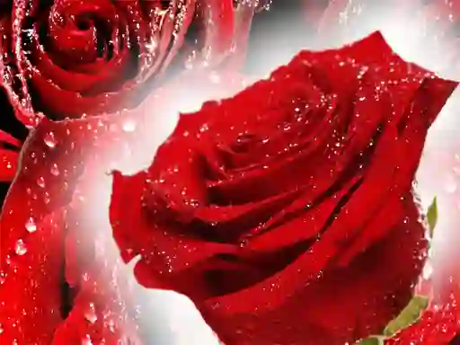 Játék Red Roses online