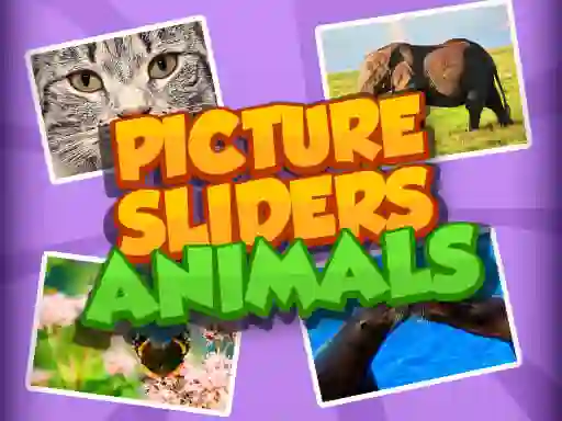 Játék Picture Slider Animals online