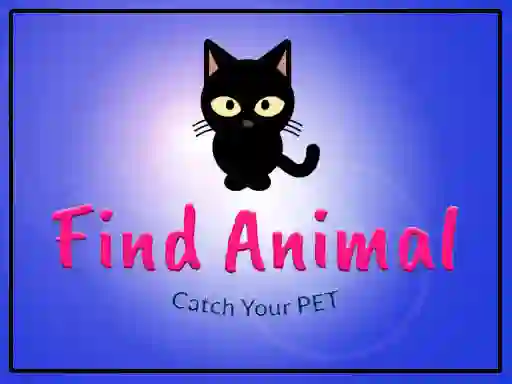Játék Find Animal online