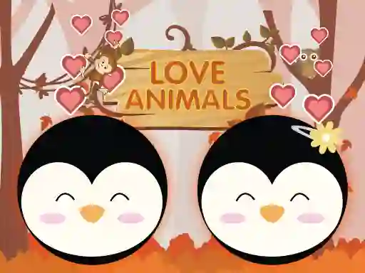Játék Love Animals online