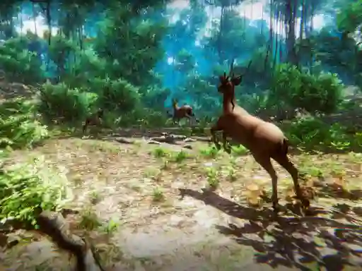 Játék  Hunter 3D online