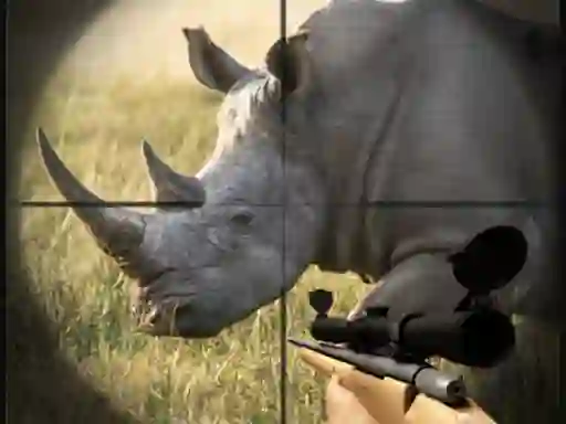 Játék Wild Rhino Hunter online