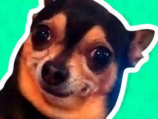 Játék What meme dog are you ? online