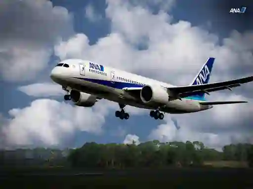Játék Boeing Dreamliner Puzzle online