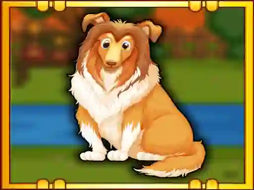 Játék Bernese Mountain Dog Escape online
