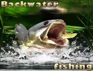 Játék Backwater Fishing online