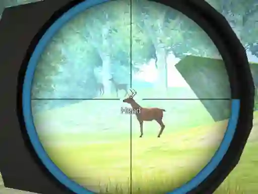 Játék Hunter Training online