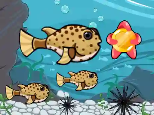 Játék Run Fish Run online
