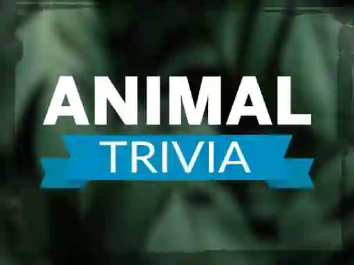 Játék Animal Trivia online
