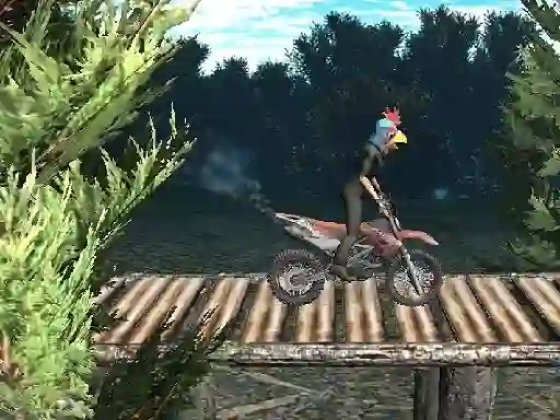 Játék Bike Trial Xtreme Forest online