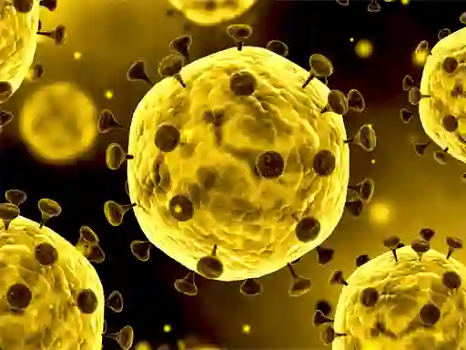 Játék Coronavirus Slide online