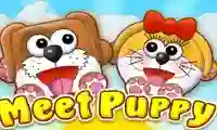 Játék Meet Puppy online