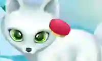 Játék Paws to Beauty Arctic Edition online