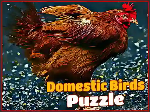 Játék Domestic Birds Puzzle online