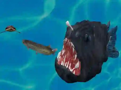 Játék Fish 3d online