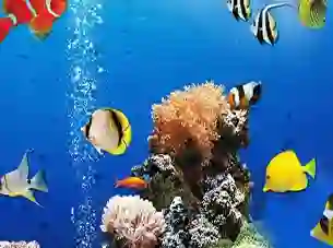 Játék Sea Underwater Difference online