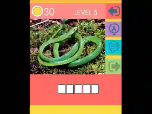 Játék 15 Picture Quiz online