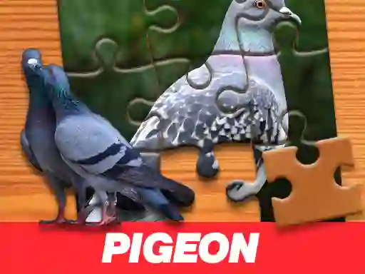 Játék Pigeon Jigsaw Puzzle online