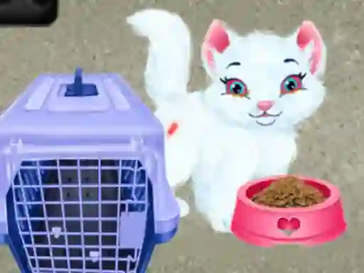 Játék Baby Taylor Pet Care online