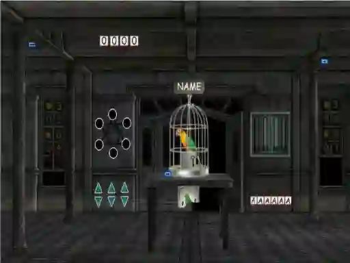 Játék Parrots Escape online