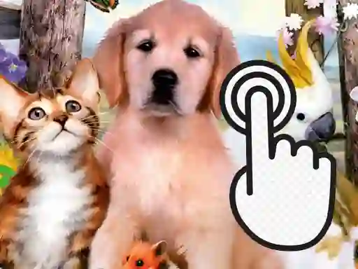 Játék Pets Clicker online