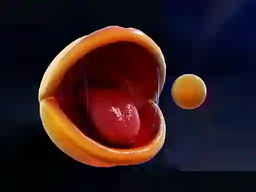 Játék Pac-Man online