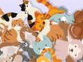 Játék Keresse meg a Kitty-t  online